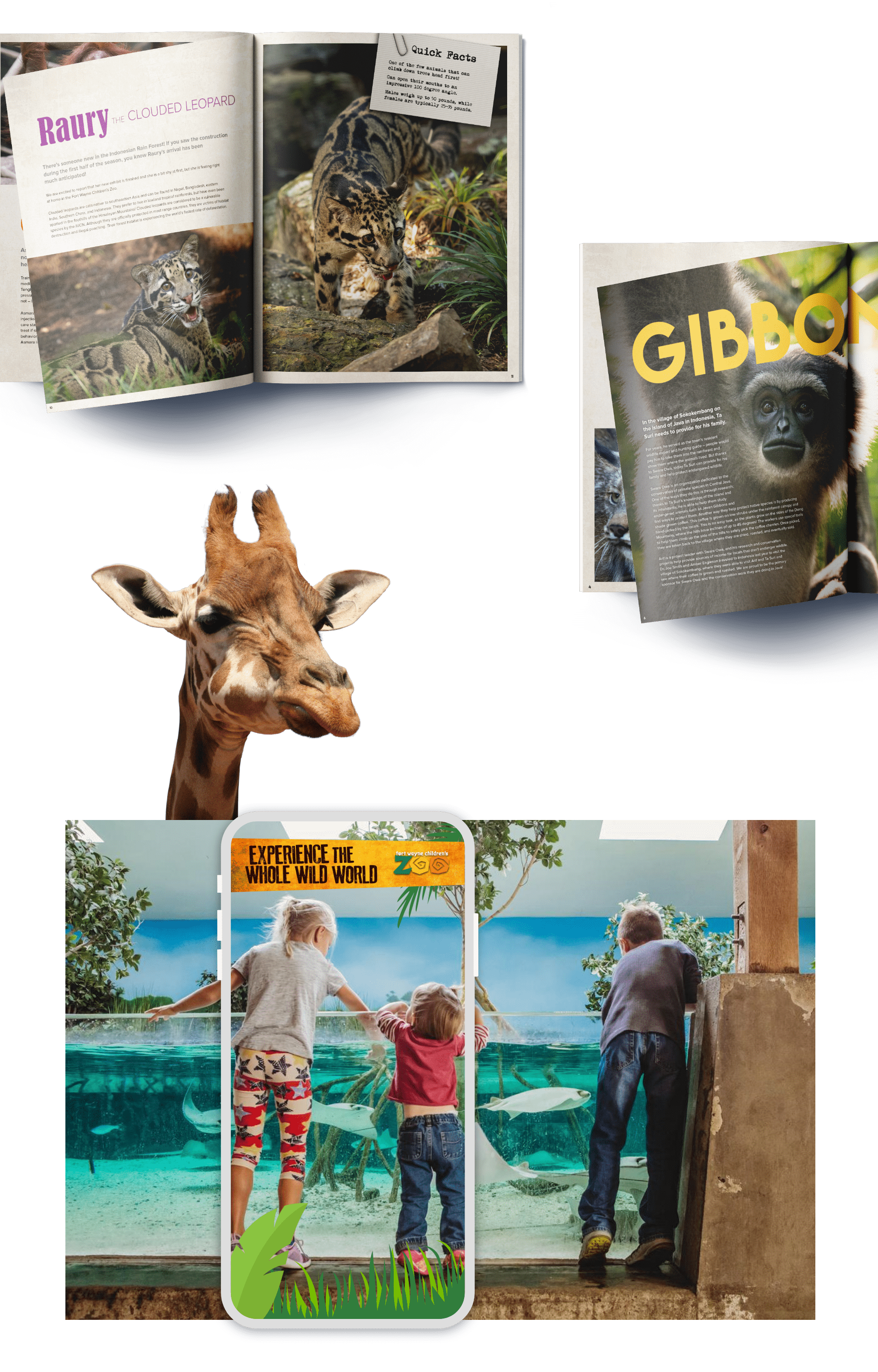 Fort Wayne Children's Zoo print examples and photography example (giraffe head)