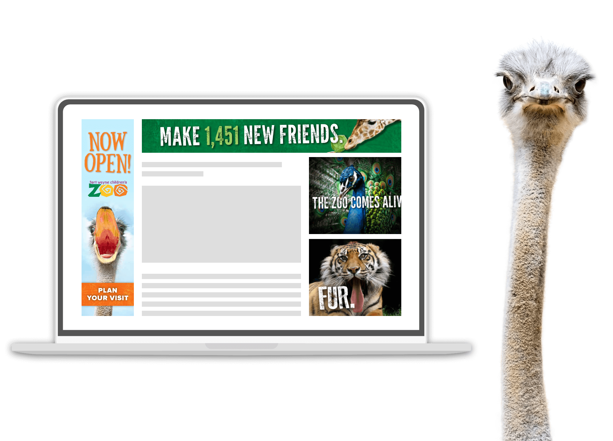 Fort Wayne Children's Zoo News Website Wireframe Design and Photography example (ostrich head)